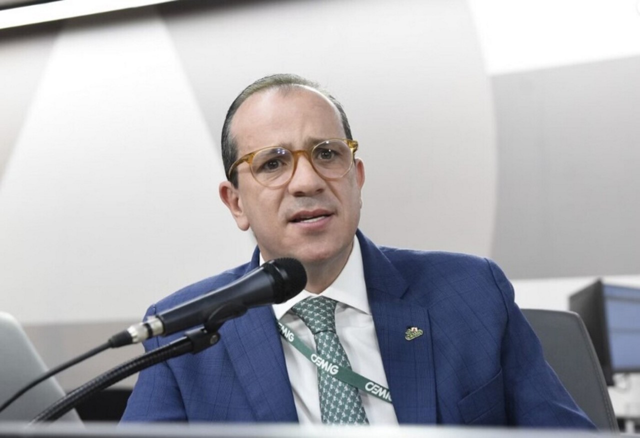 Secretário municipal de Meio Ambiente e presidente do Conselho, João Paulo Menna Barreto de Castro Ferreira foi o responsável pelo adiamento do pleito