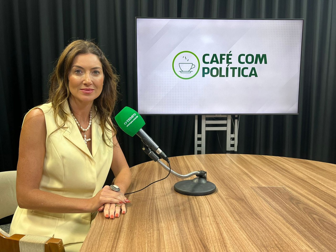 Conforme a deputada federal Greyce Elias, derrubada dos vetos do Propag será a prioridade da bancada mineira no Congresso Nacional
