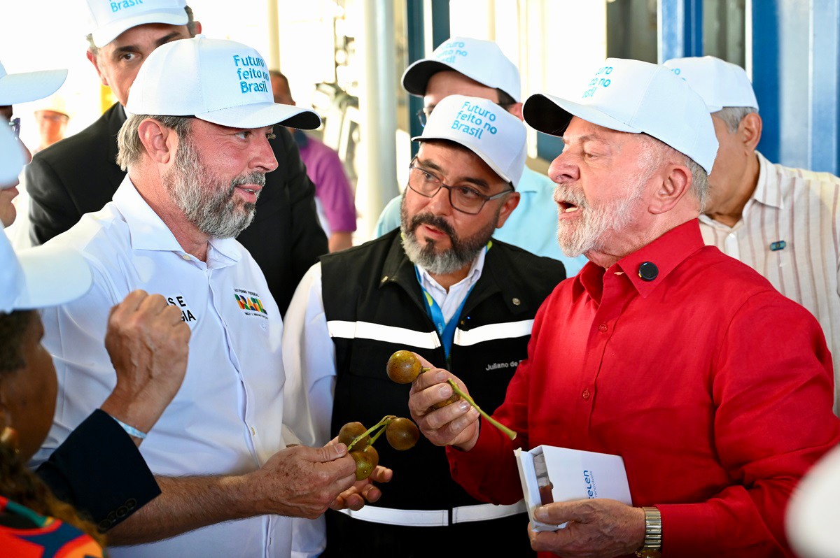 Lula segura fruto da macaúba, que será utilizado para produzir combustível de aviação, em Montes Claros