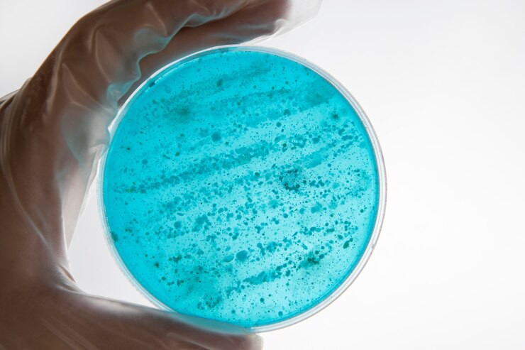 Saiba o que é o candida auris, superfungo que já infectou quatro pessoas em Belo Horizonte