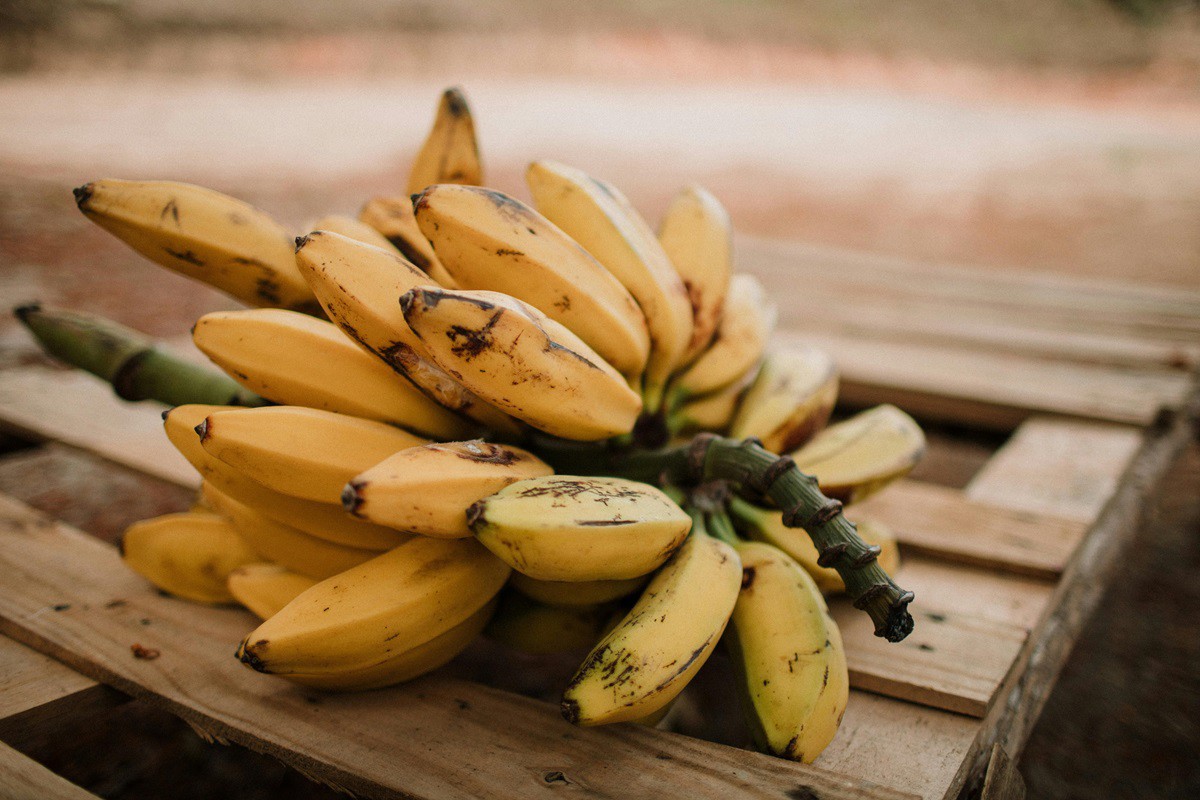 Casca da banana é rica em fibras, explica nutricionista