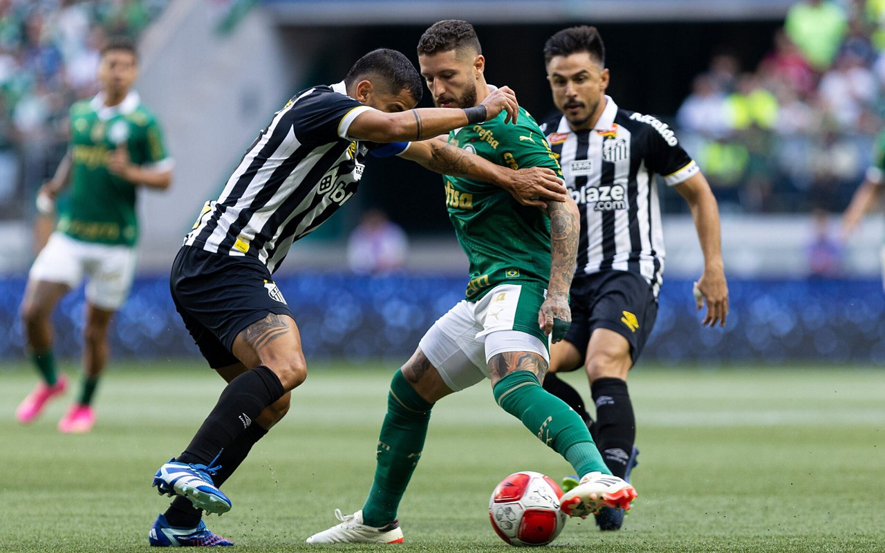 Zé Rafael em partida entre Palmeiras e Santos (Foto: Cesar Greco/Palmeiras)