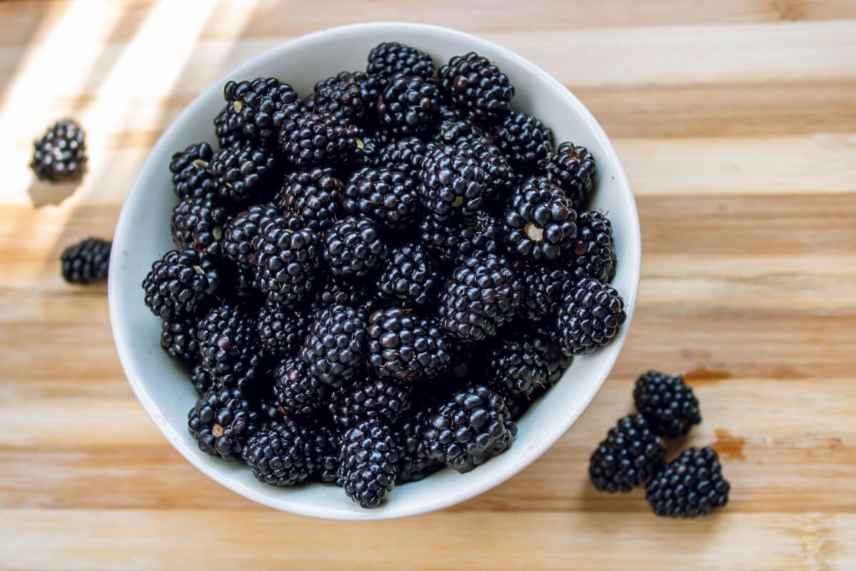 A amora é uma fruta nutritiva e saudável