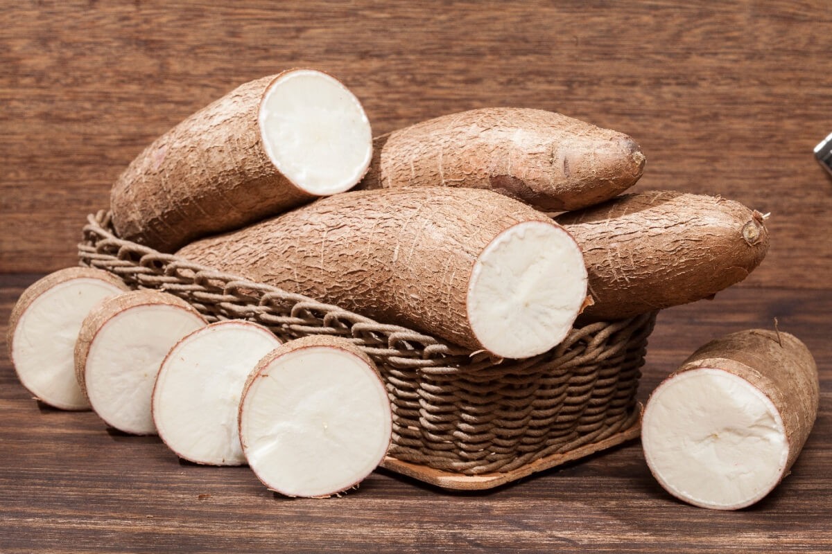 A mandioca é fonte de nutrientes importantes para a saúde