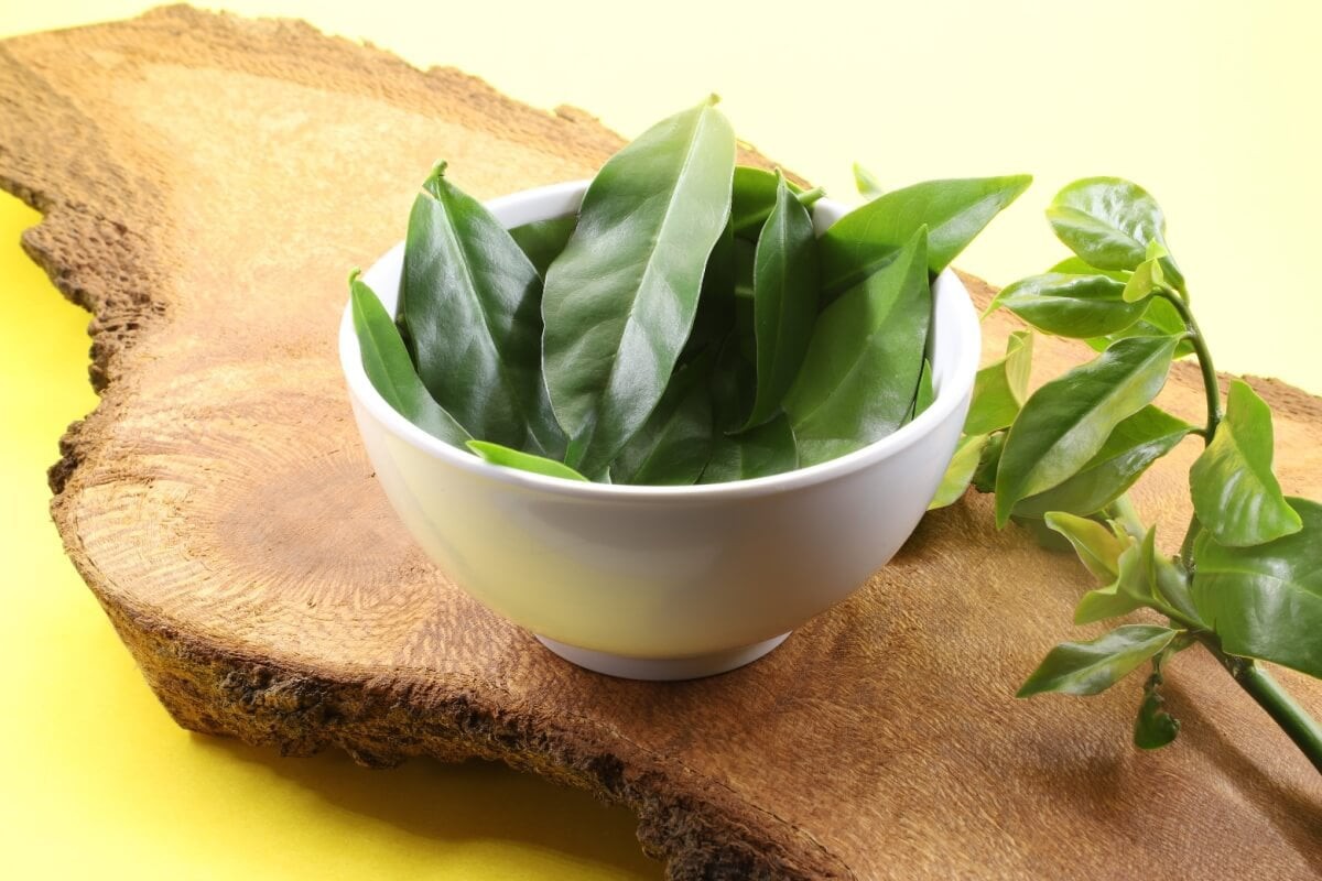 A medida não afeta o consumo da planta fresca, muito usada na alimentação em Minas Gerais