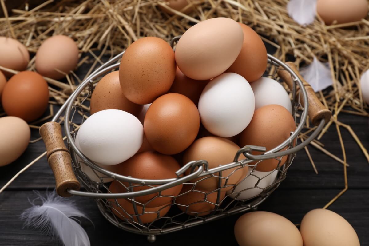 Os ovos se destacam pela combinação de praticidade e valor nutricional
