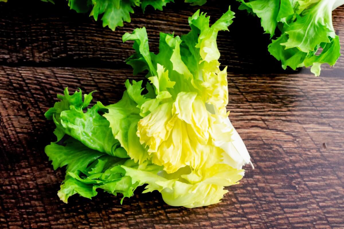 Saborosa e nutritiva, a escarola se destaca tanto na culinária quanto nos benefícios à saúde