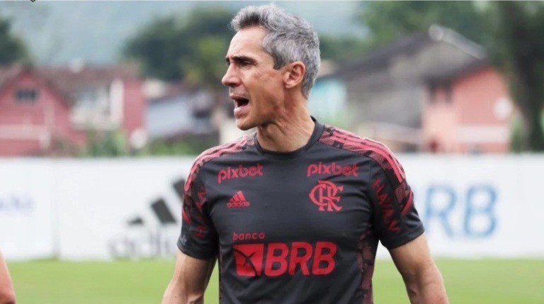 Paulo Souza, técnico do Flamengo
