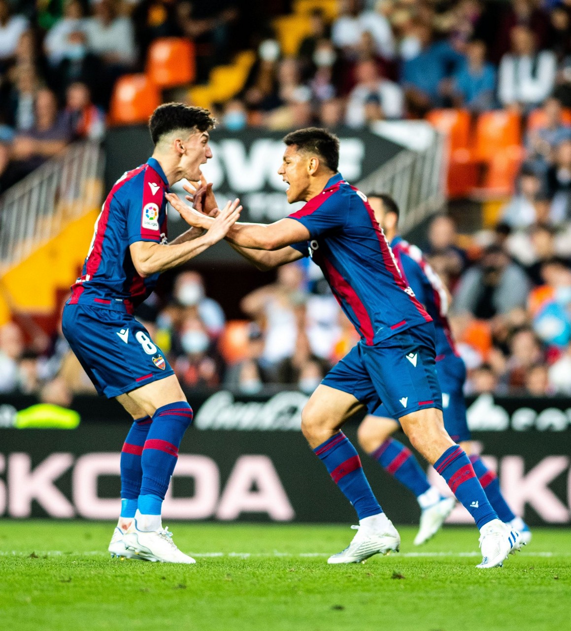 Levantejfif