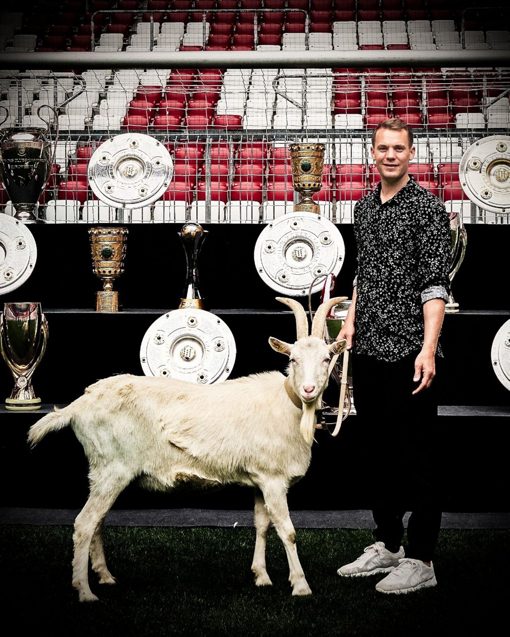Neuerjfif
