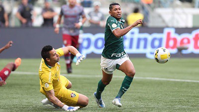 Palmeiras reclamou de pênalti de Fábio em Rony