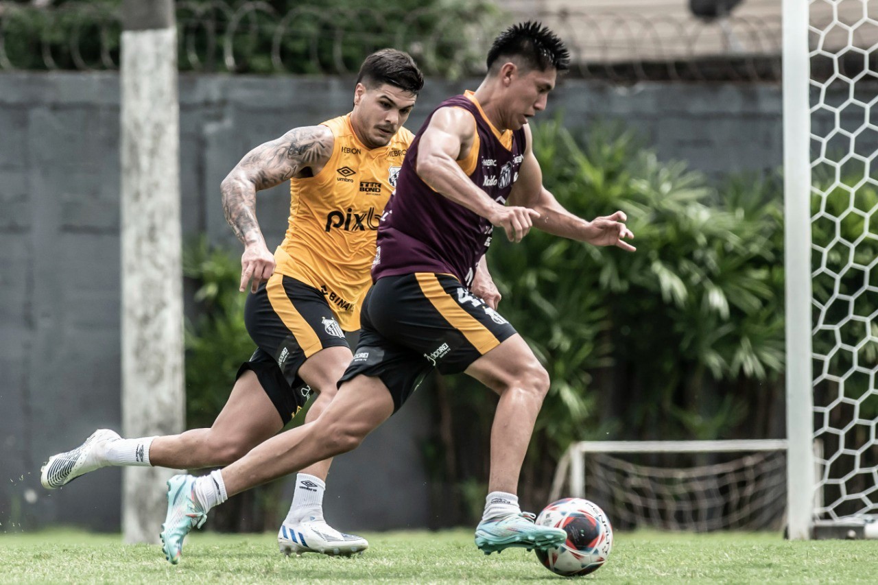 Santos e Mirassol se enfrentam pelo Paulistão 2023