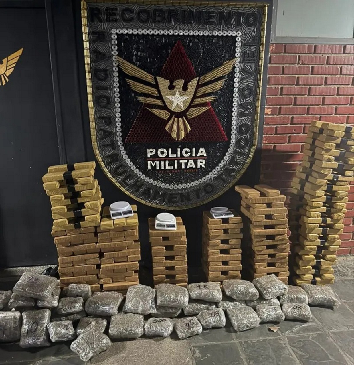 Grande quantidade de drogas foi apreendida pela PMMG em ação nesse domingo (24/8)