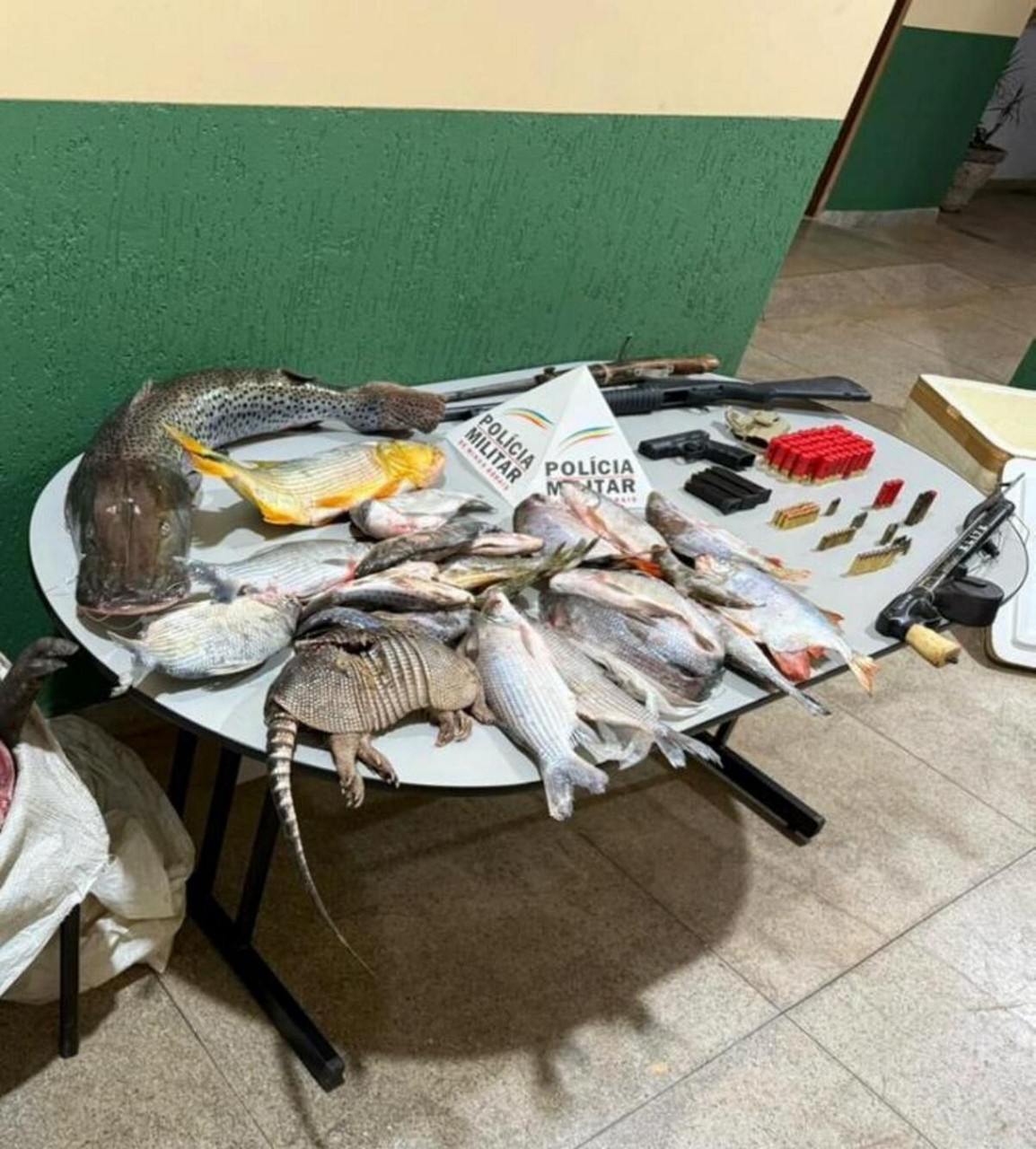 Polícia apreendeu tatu, capivara, 32 kg de peixes e arsenal durante a ação
