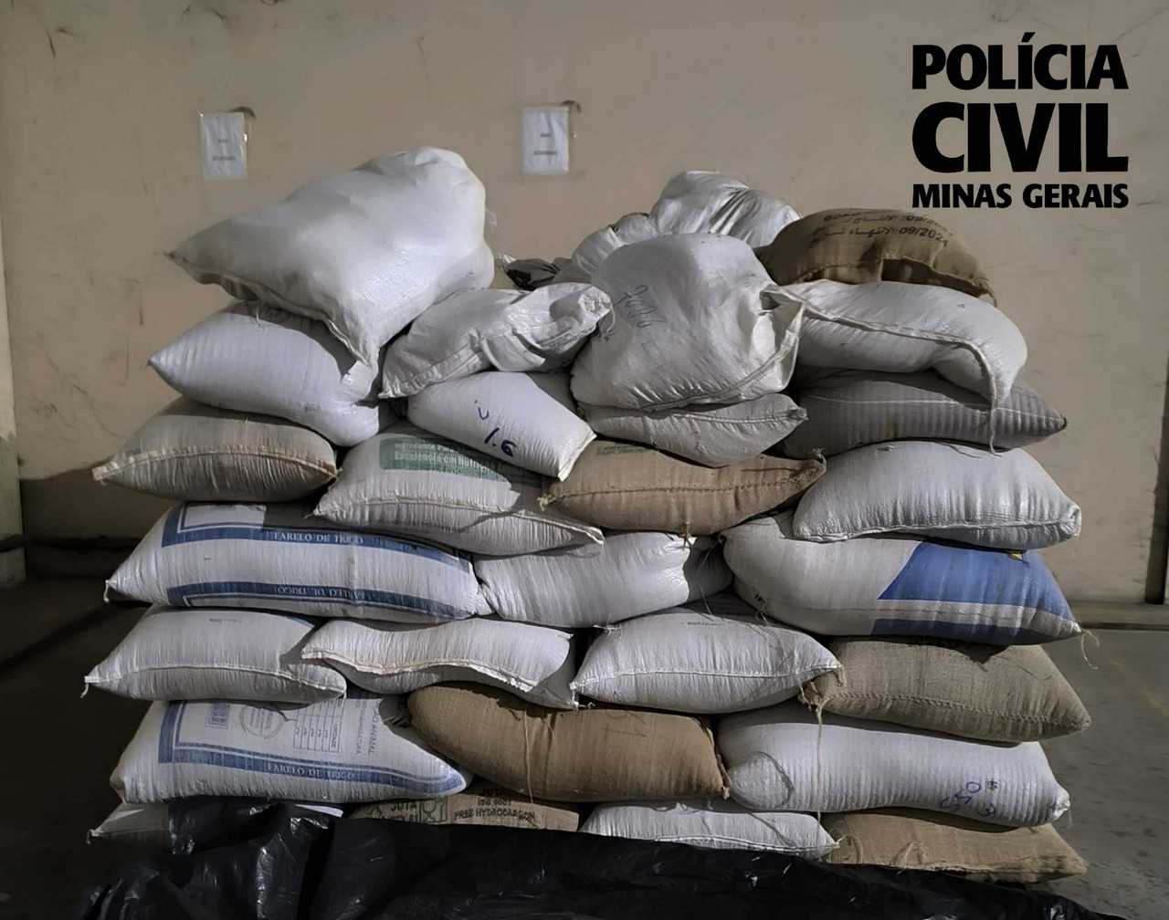 PCMG apreendeu 4,4 mil quilos de café e prendeu um quarteto em Varginha