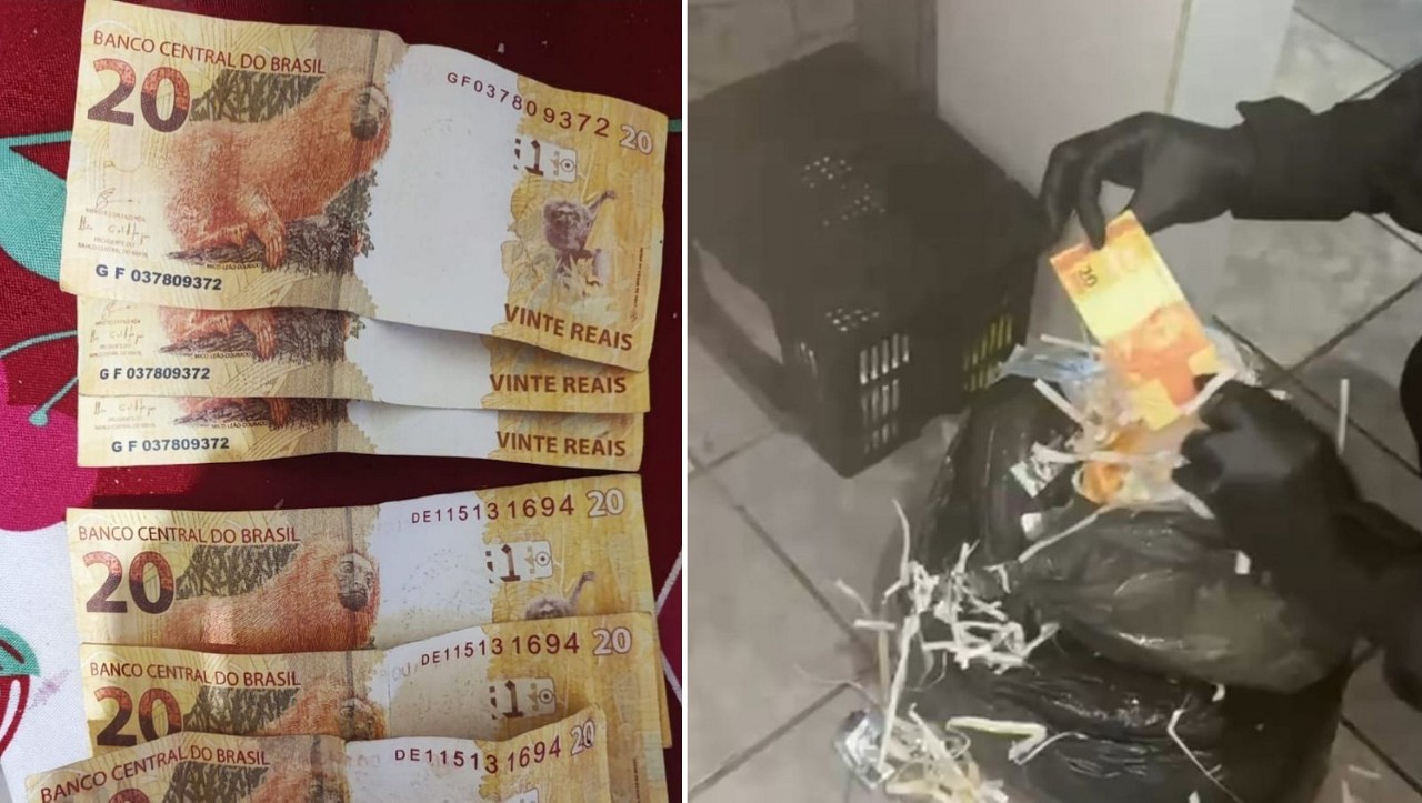 Polícia Federal apreendeu diversos materiais durante a operação
