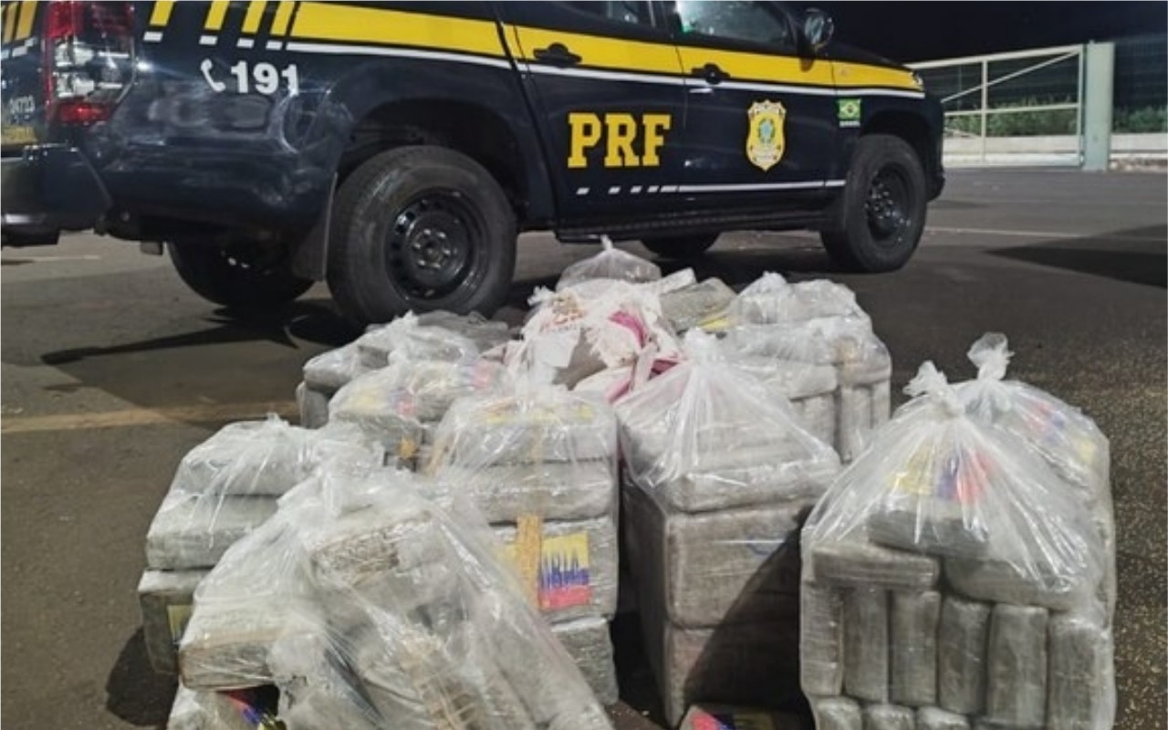 Carga de maconha apreendida pelos policiais 