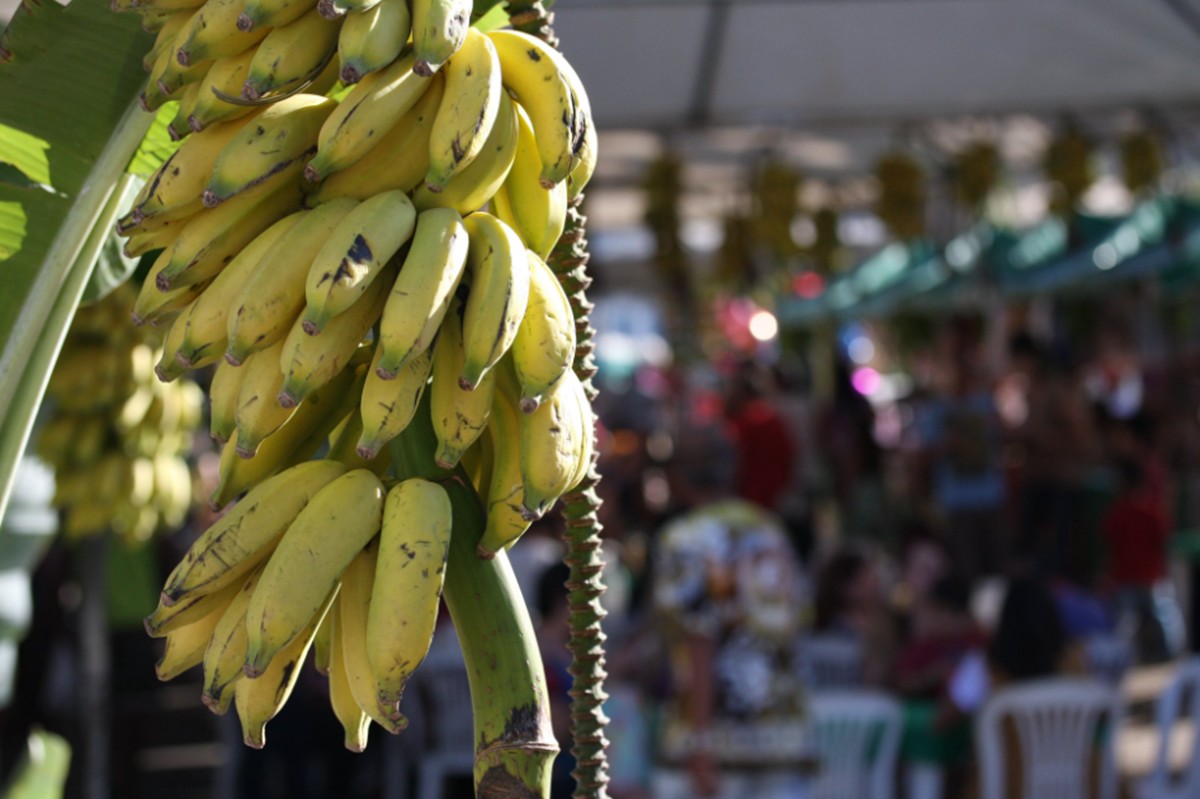  A festa tradicional que acontece nos dias 13 e 14 de setembro, valoriza a banana, um dos principais produtos rurais de Sabará.
