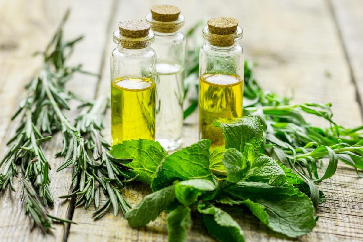Os banhos ritualísticos potencializam as vibrações e abrem caminhos