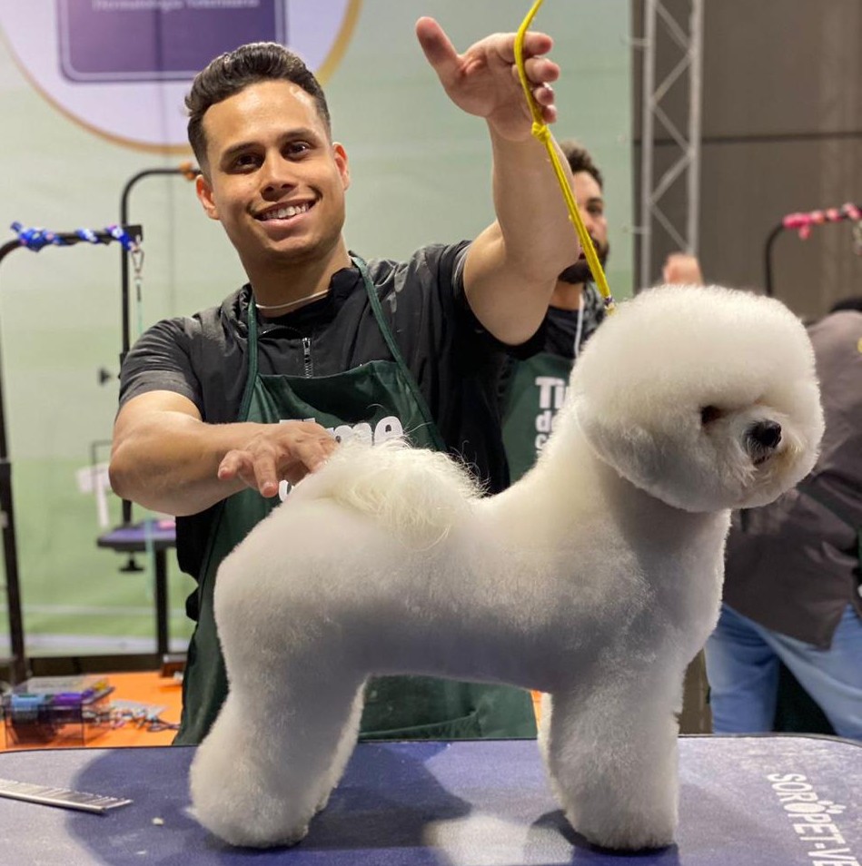 Profissão é voltada para os cuidados de higiene e estética de cães e gatos