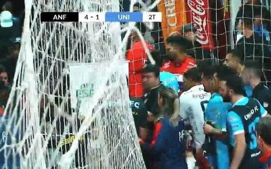 Torcedor de 37 anos foi atacado (reprodução TV)
