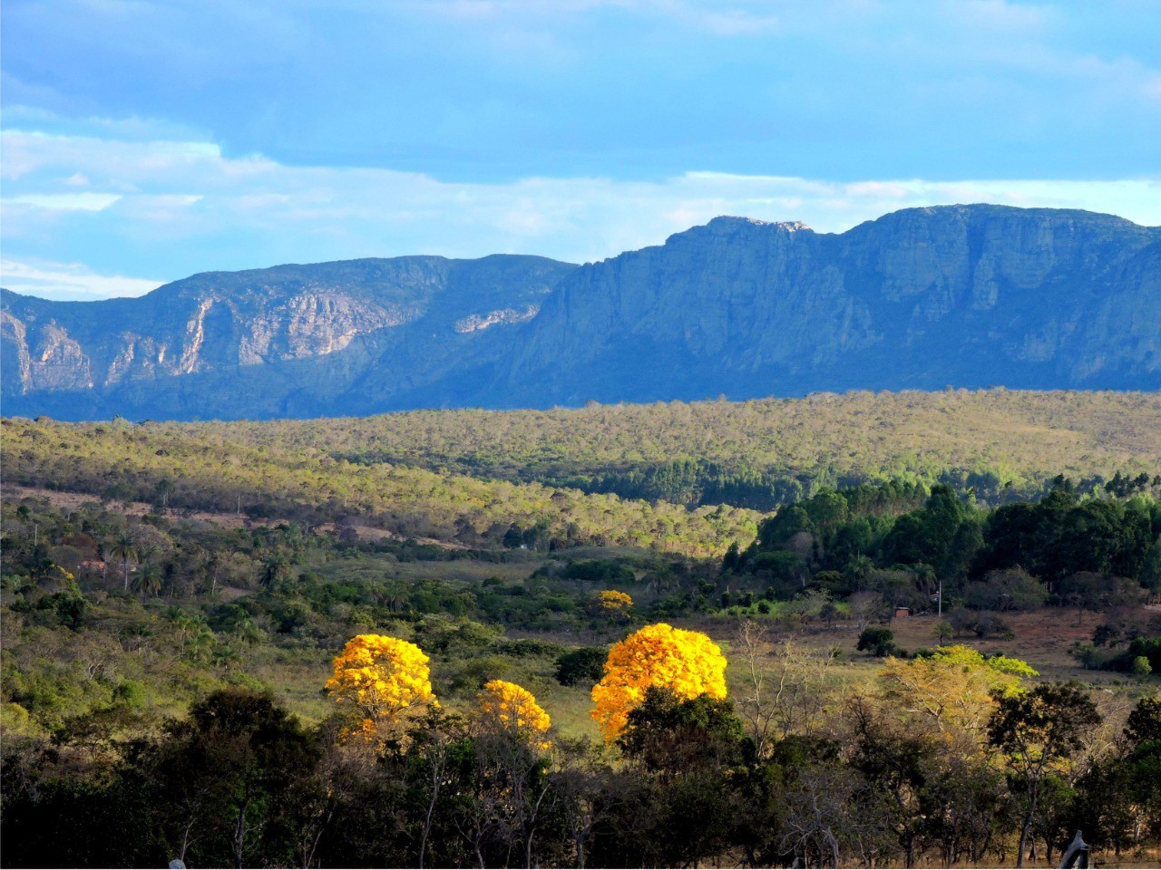 A cordilheira do Espinhaço; cenário grandioso e rico em biodiversidade
