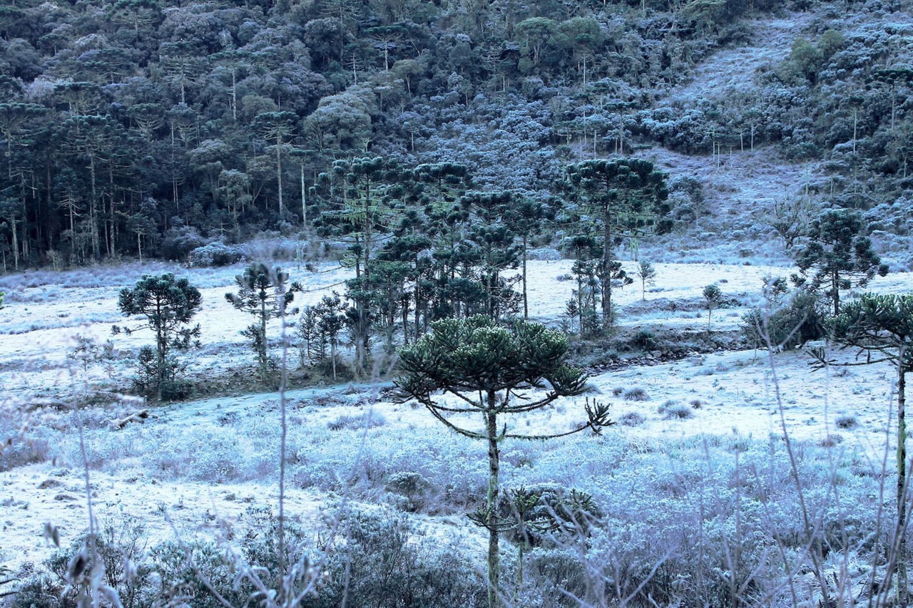 A geada deixa as paisagens branquinhas em Urubici, na Serra Catarinense