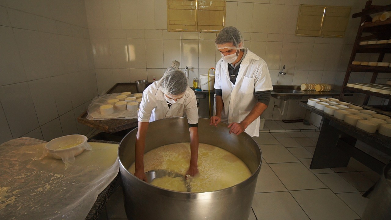 Produção de Queijo Minas Artesanal em Sacramento, na microrregião de Araxá