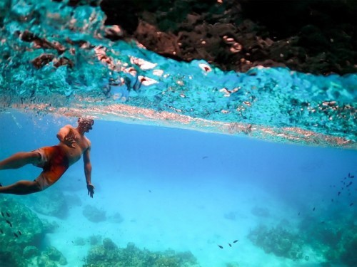 A transparência das águas de Curaçao proporcionam muitas áreas às atividades de mergulho