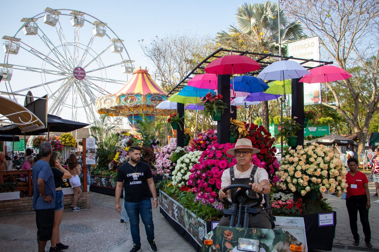 Parada das Flores tem carros alegóricos; ruas são enfeitadas com guarda-chuvas coloridos