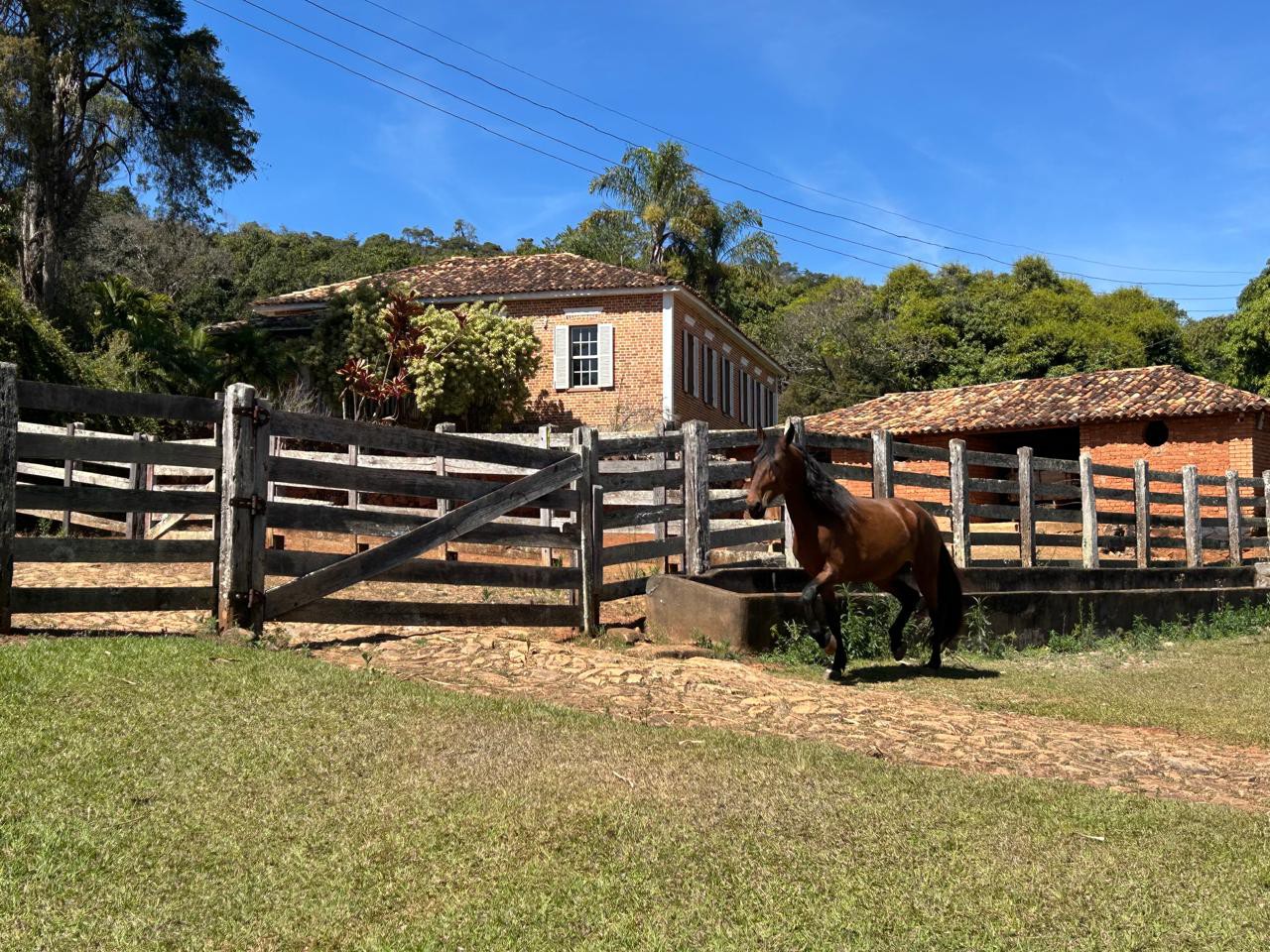 Fazenda São José, um dos pilares da criação do cavalo Campolina em Entre Rios de Minas
