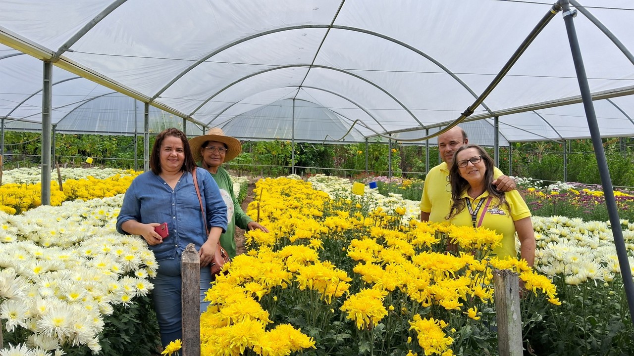 O Brejo Paraibano é referência na produção de flores