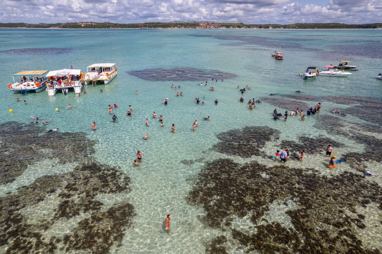 As Galés de Maragogi, as piscinas naturais mais bonitas do litoral brasileiro