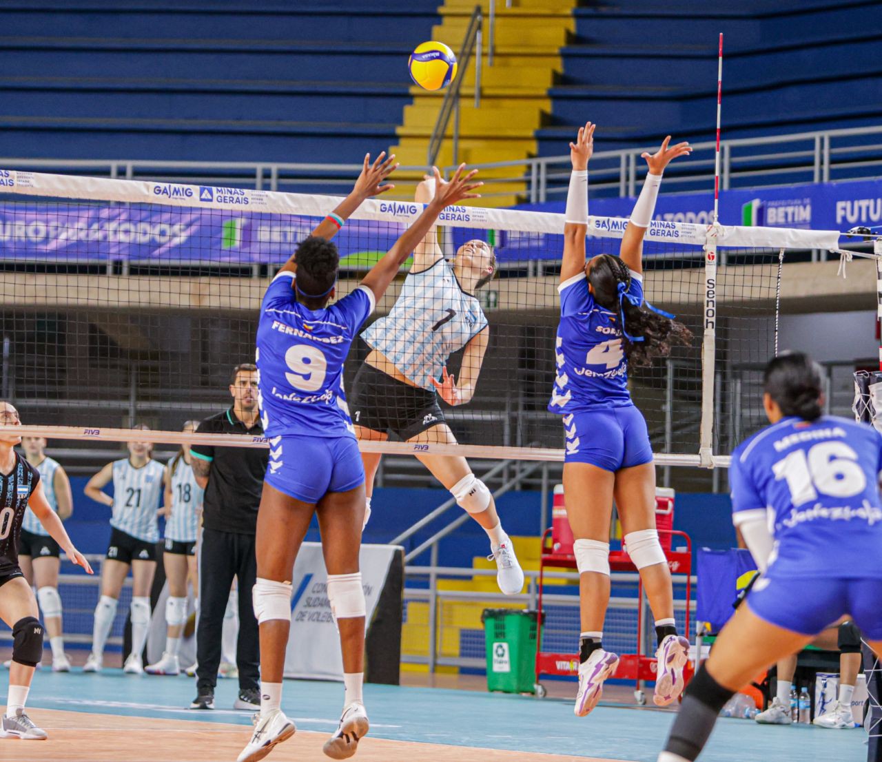 Argentina e Venezuela duelam pela Copa América de Vôlei Feminino