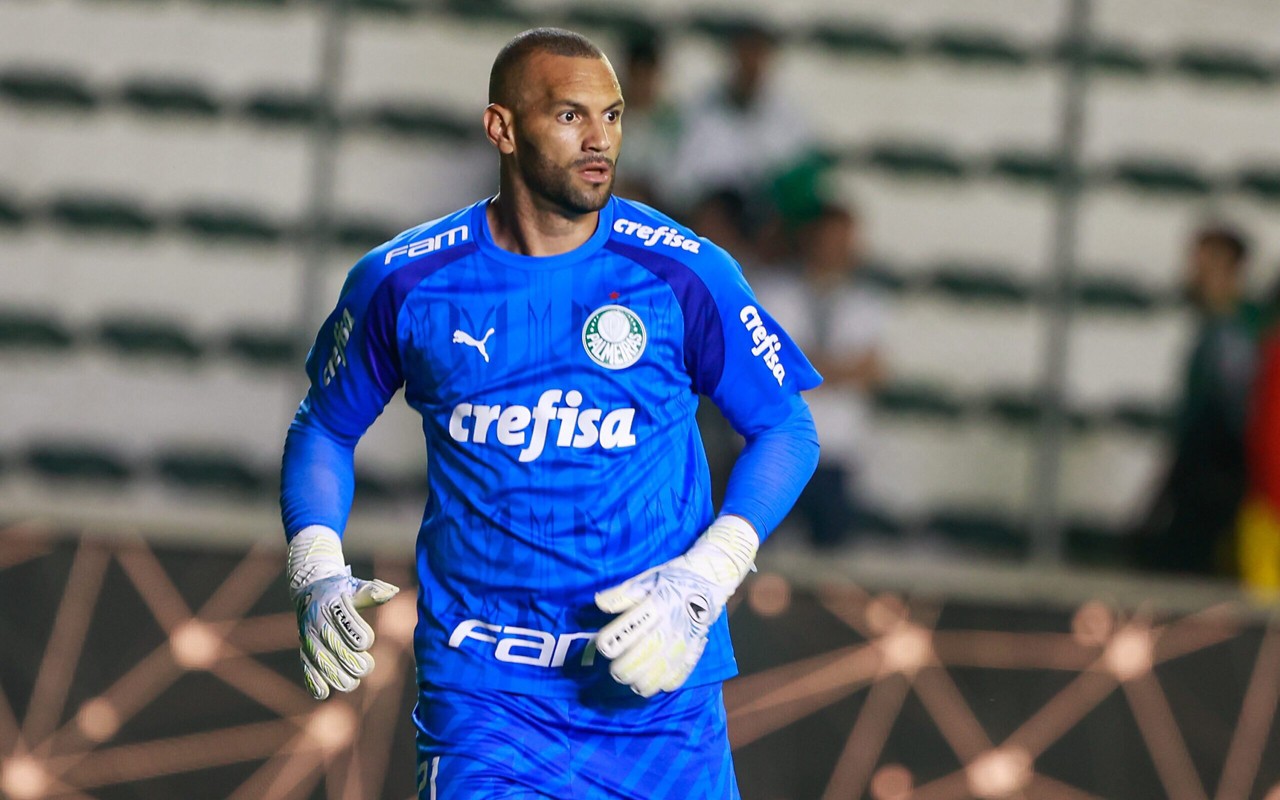 Goleiro será titular do Palmeiras contra o Corinthians (Foto: Luiz Erbes/AGIF)