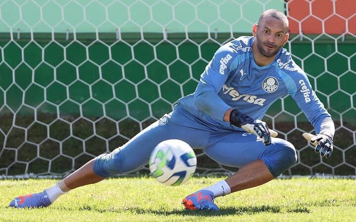 (Foto: Cesar Greco/Palmeiras)